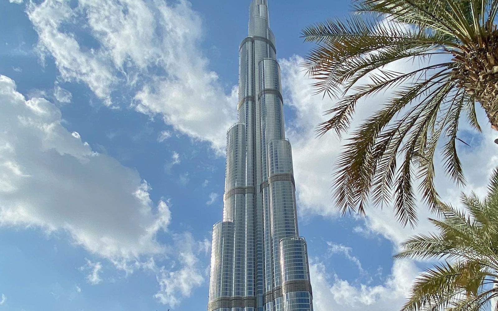 The Burj Khalifa in daylight seen past a palm frond
