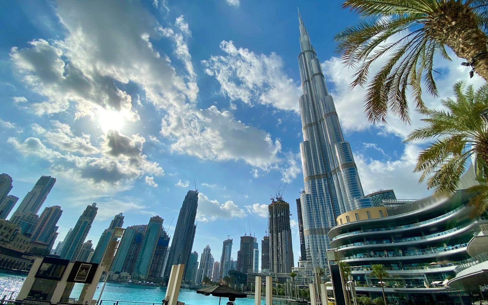 Downtown Dubai behind palm trees on a bright day
